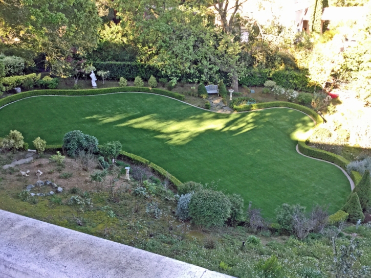 Synthetic Turf Supplier Paonia, Colorado Hotel For Dogs, Backyard Landscaping Ideas