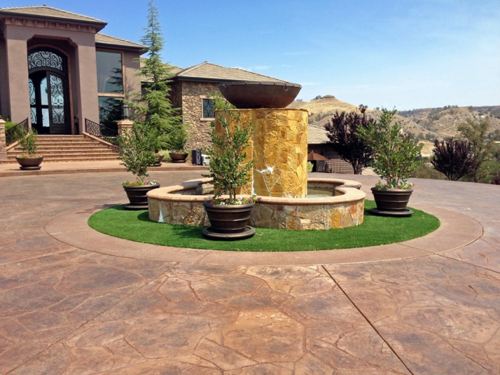 Turf Grass Arvada, Colorado City Landscape, Front Yard Landscaping Ideas