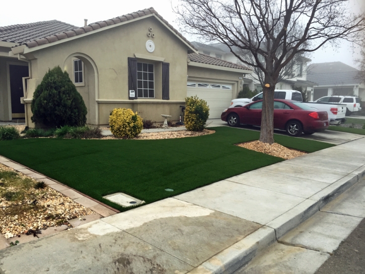 Turf Grass Craig, Colorado Garden Ideas, Front Yard Landscaping Ideas