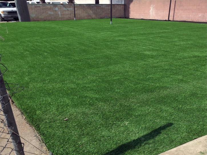 Turf Grass Fleming, Colorado Football Field