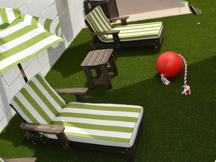Turf Grass Towner, Colorado Rooftop, Backyard Landscaping
